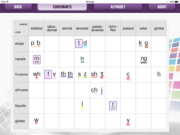 Articulatory Phonetics Chart