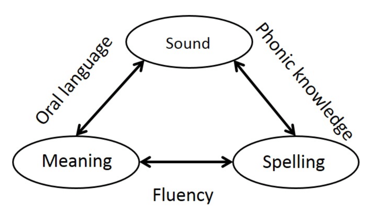 The Language, Learning and Literacy conference – Kathy Rastle | Spelfabet