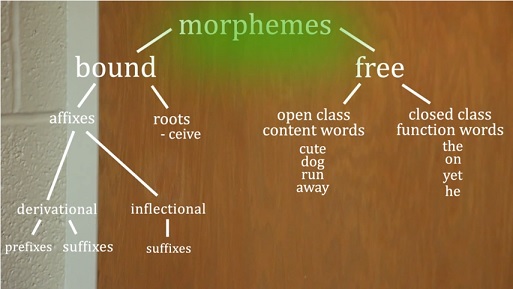 Open Class vs Closed Class Words - Meaning & Examples